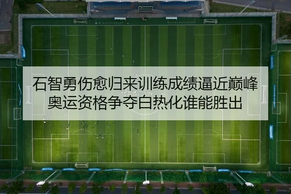 shi-zhi-yong-shang-yu-gui-lai-xun-lian-cheng-ji-bi-jin-dian-feng-ao-yun-zi-ge-zheng-duo-bai-re-hua-shui-neng-sheng-chu-2-550.jpg